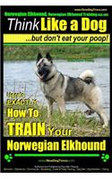 Norwegian Elkhound, Norwegian Elkhound Training AAA AKC - Think Like a Dog But Don't Eat Your Poop! - Norwegian Elkhound Breed Expert Training