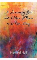 Lumpy Bed and Other Places to Not Sleep
