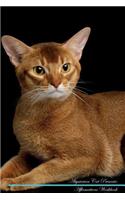 Abyssinian Cat Affirmations Workbook Abyssinian Cat Presents: Positive and Loving Affirmations Workbook. Includes: Mentoring Questions, Guidance, Supporting You.