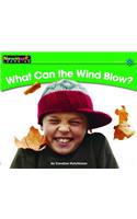 What Can the Wind Blow? Leveled Text