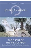 Flight of the Wild Gander
