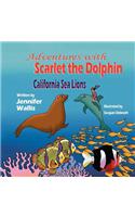 Adventures with Scarlet the Dolphin: California Sea Lions