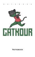 Parkour with cat 