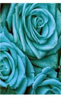 Colorful roses blue Version