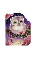 A Little Owl