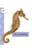 Sea Horses