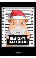 Dear Santa I Can Explain Notebook