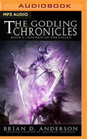 Godling Chronicles: Madness of the Fallen, Book 5