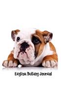 English Bulldog Journal: 8x10 inch dog notebook, blank paper sketchbook, 150 pages