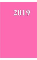 Hot Pink Color 2019 Daily Planner Simple Plain All Pink 384 Pages: (Notebook, Diary, Blank Book)