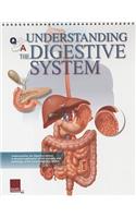 Understanding the Digestive System Flip Chart