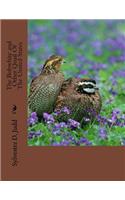 The Bobwhite and Other Quail Of The United States