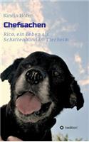 Chefsachen: Rico - ein Leben als Schattenhund im Tierheim