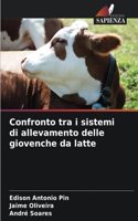 Confronto tra i sistemi di allevamento delle giovenche da latte