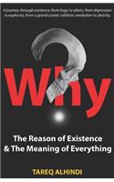 Why? the Reason of Existence & the Meaning of Everything