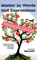 Mostar in words and expressions: Mostarski rje&#269;nik