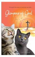 Glimpses of God