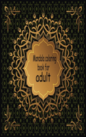 Mandala coloring book for adult