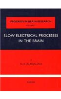 Slow Electrical Processes in the Brain: (Progress in Brain Research)