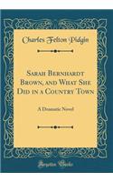 Sarah Bernhardt Brown, and What She Did in a Country Town: A Dramatic Novel (Classic Reprint)