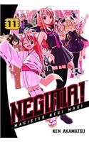 Negima! 11