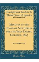 Minutes of the Synod of New Jersey, for the Year Ending October, 1867 (Classic Reprint)