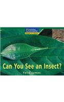 Windows on Literacy (US Edition): Can You See An Insect?