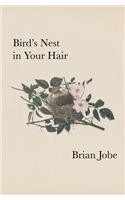 Birds Nest In Your Hair