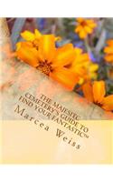 Majesitc Cemetery's Guide to Find Your Fantastic(TM)