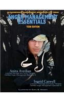 Anger Management Essentials: Teen Edition: An Aggression Management Workbook for Teens