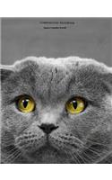 Composition Notebook: 100 pages college ruled - gray cat yellow eyes - class note taking book for teens in middle, high school and adult college classes or journaling dia