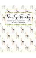 Twenty - Twenty The Ultimate 2020 Pixel Monthly & Weekly Planner Calendar Book: Llama Cactus Agenda Logbook - Academic Business - Journal - Color Code - Notes - Schedule - Organizer - 8.5 x 11" Large - December 2019 - December 2