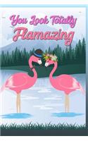 You Look Totally Flamazing Gratitude Journal: Guided 52 Week Gratitude Journal for Women with Flamingo Inspirational Quotes