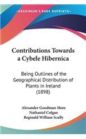 Contributions Towards a Cybele Hibernica