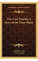 Pete Cow Puncher a Story of the Texas Plains
