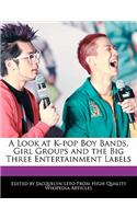 A Look at K-Pop Boy Bands, Girl Groups and the Big Three Entertainment Labels