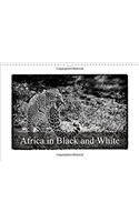 Africa in Black and White 2017