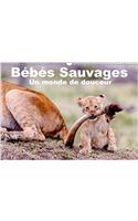 Bebes Sauvages - Un Monde De Douceur 2018