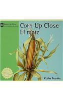 Corn Up Close / El Maiz