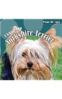 I Love My Yorkshire Terrier