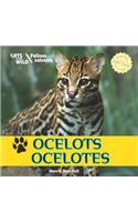 Ocelots/Ocelotes