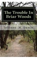 Trouble In Briar Woods