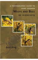 A Photographic Guide to Some Common Wasps and Bees of Minnesota: (English)