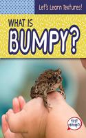 What Is Bumpy?: (Let's Learn Textures!)