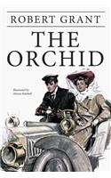 The Orchid