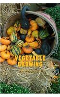 Vegetable Growing