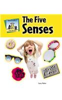 The Five Senses