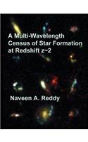 Multi-Wavelength Census of Star Formation at Redshift z 2