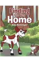Finding The Way Home