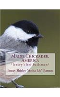 Maine Chickadee, America